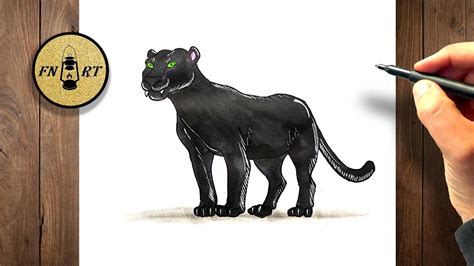 how to draw florida panther.